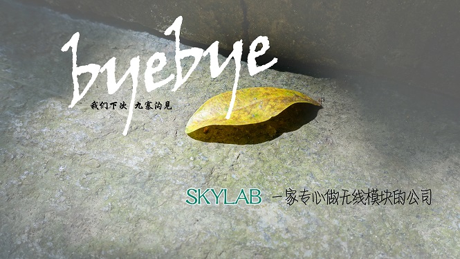 SKYLAB，一家做无线模块的公司